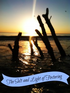Salt and Light of Fostering